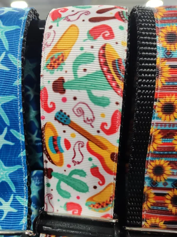 1.5″ Wide Fiesta Nylon Dog Collar
