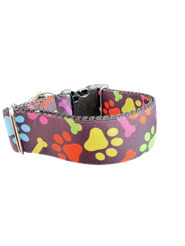 1.5″ Wide Rainbow Bones and Pawprints Nylon Dog Collar