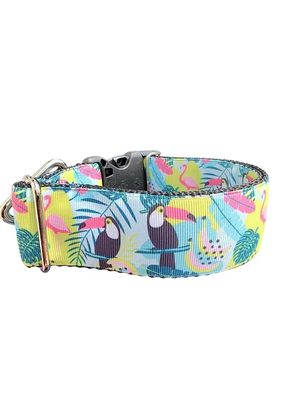 1.5″ Wide Tropical Toucans Nylon Dog Collar