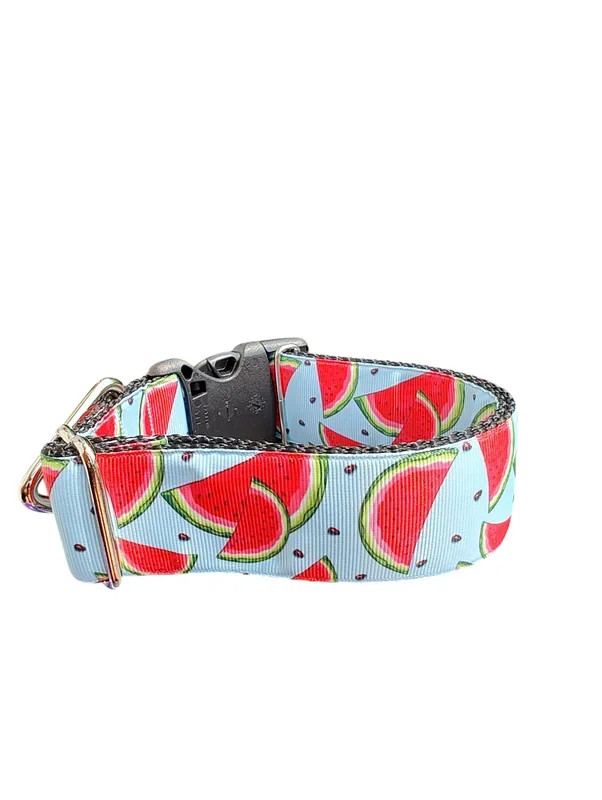 1.5″ Wide Watermelon Wedges Nylon Dog Collar