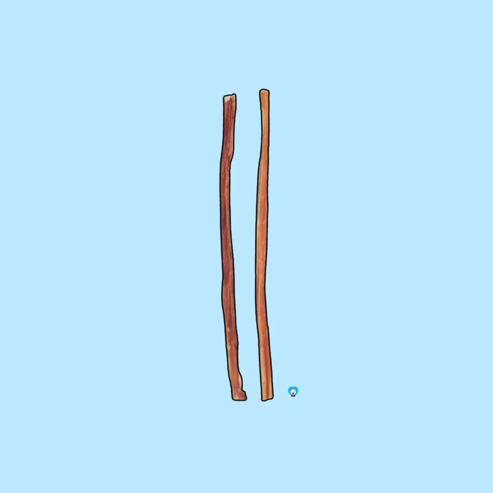 12″ Beef Bully Sticks – Thin