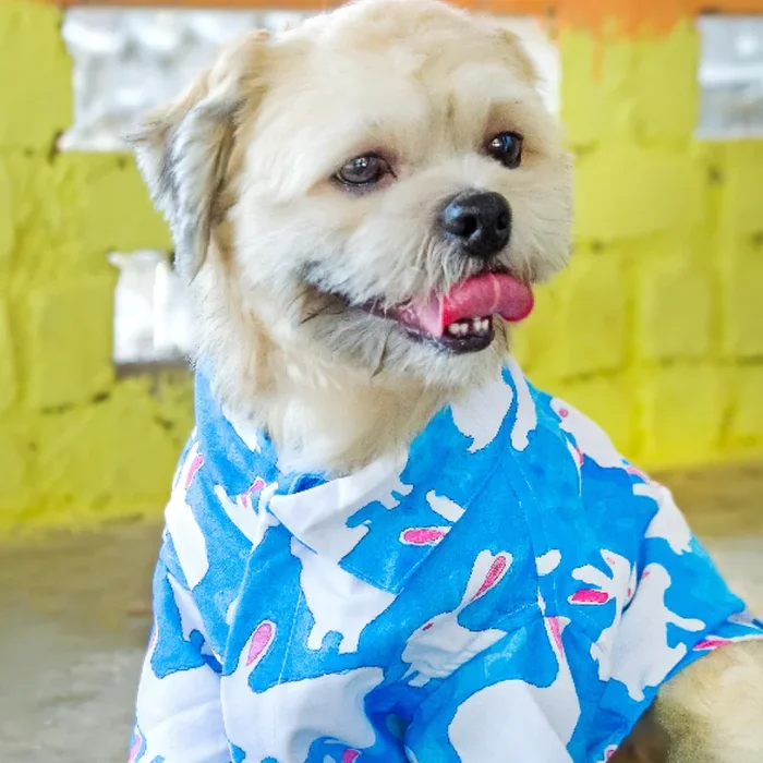15buttons Bunny Shirt for Dogs
