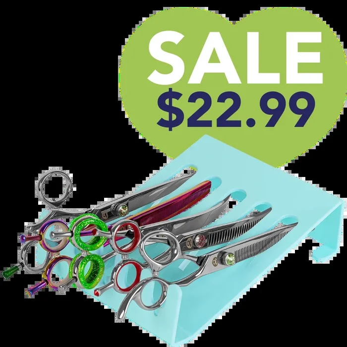 5 Scissor Holder Drawer and Table Aqua by PetStore.Direct