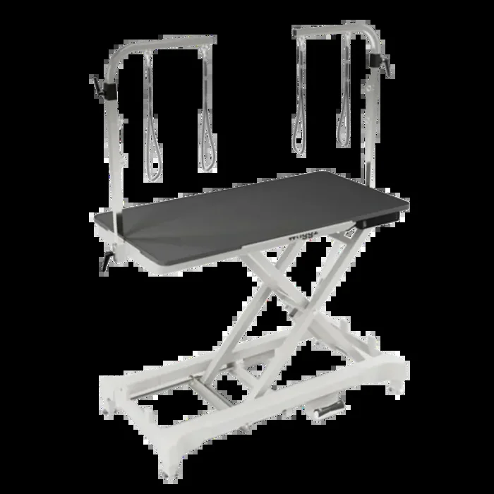 52″ Dog Grooming 999 Electric Table without Drawer White by Waggz