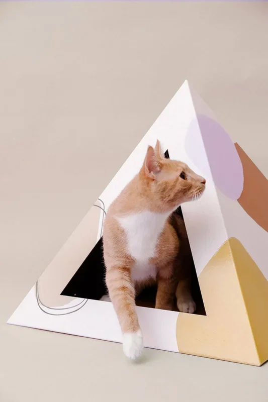 ‘Abstract’ Cardboard Cat Pyramid
