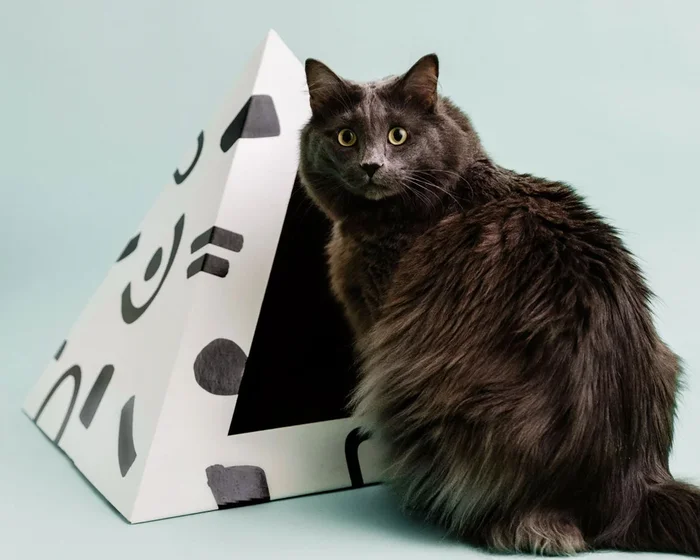 ‘Doodle’ Cardboard Cat Pyramid