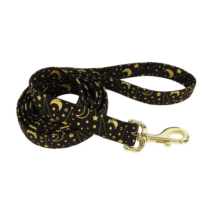 Accent Metallic Dog Leash Stars 1″ x 6 ‘
