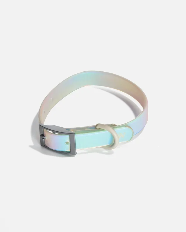 Adjustable Waterproof Fashion Dog Collar: Holographic Lunar / MEDIUM