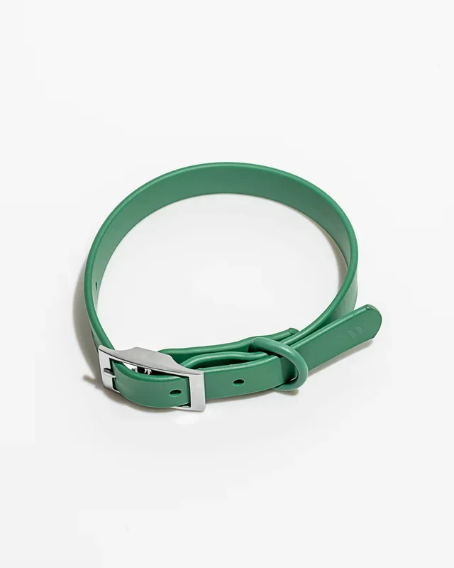 Adjustable Waterproof Fashion Dog Collar: Spruce / X-SMALL