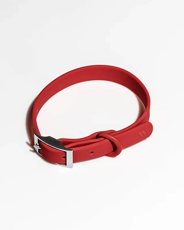 Adjustable Waterproof Fashion Dog Collar: Strawberry / X-LARGE