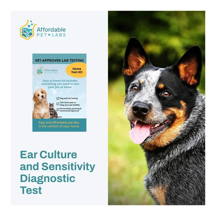 Affordable Pet Labs – Ear Culture and Sensitivity Diagnostic Test For Dogs, Easy Home Kit