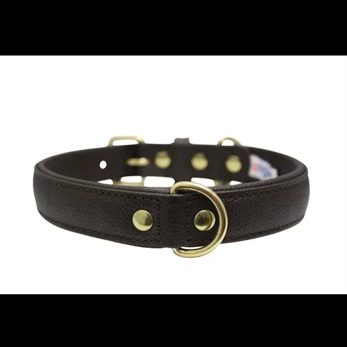 Alpine Plain Padded Leather Dog Collar – Chocolate Brown