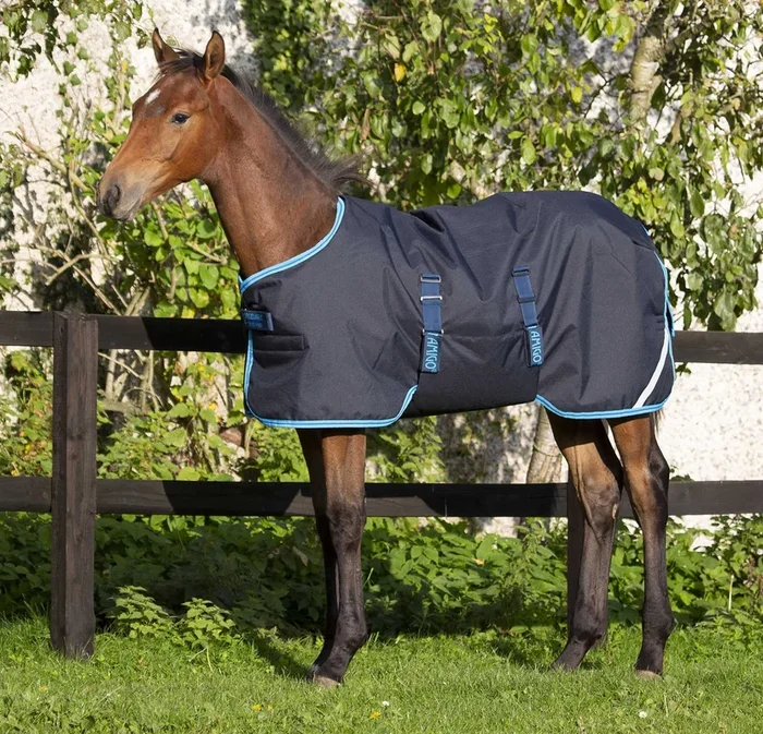 Amigo 600D Foal Blanket, 200 gram, Medium Weight