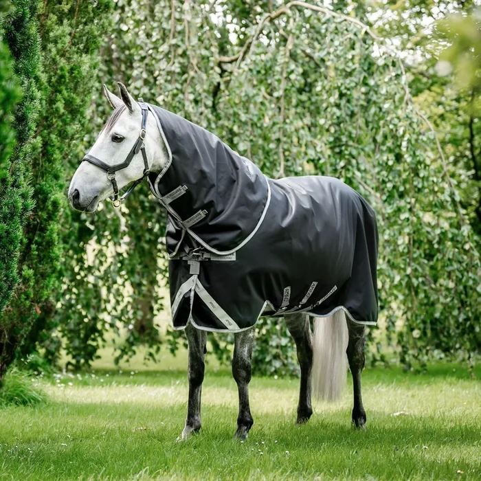 Amigo Bravo 12 Plus Horse Turnout Blanket 250g, Waterproof Medium Weight with Detachable Hood, 1200D Durable Outer