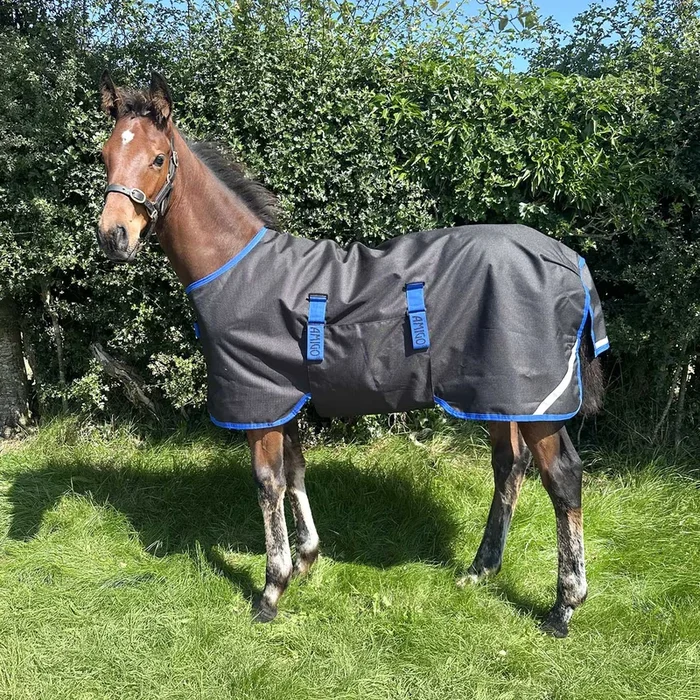 Amigo Foal Turnout Blanket 900D Ripstop – 200g Insulation, Adjustable Fit & Safety Reflective
