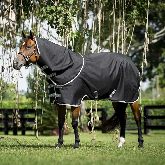 Amigo Ripstop 900D Quarter Horse Plus Turnout Blanket – 200g Medium Weight, Waterproof with Detachable Hood
