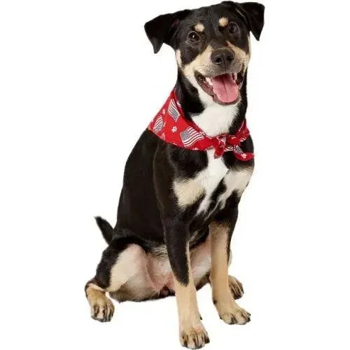 Aria Paws N’ Stripes Forever Bandanas for Dogs