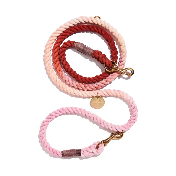 Arizona Rope Dog Leash, Adjustable & Secure Bolt Snap – Found my Animal
