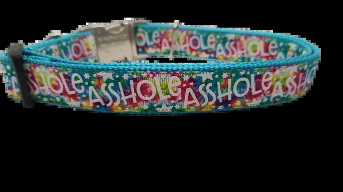 Asshole Rainbow Galaxy Nylon Dog Collar