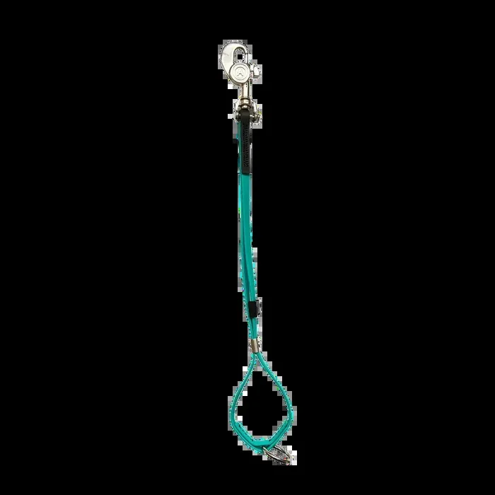 AXL Shorty Loop Teal by Alpha Grooming