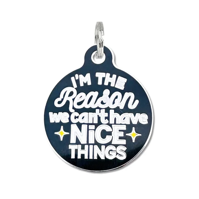 Bad Tags – Personalized Dog ID Tag Charm – Can’t Have Nice Things – Engraved QR Code / Large 1.25″