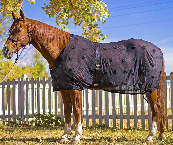 BeneFab Rejuvenate Magnetic Horse Therapy SmartScrim, Black