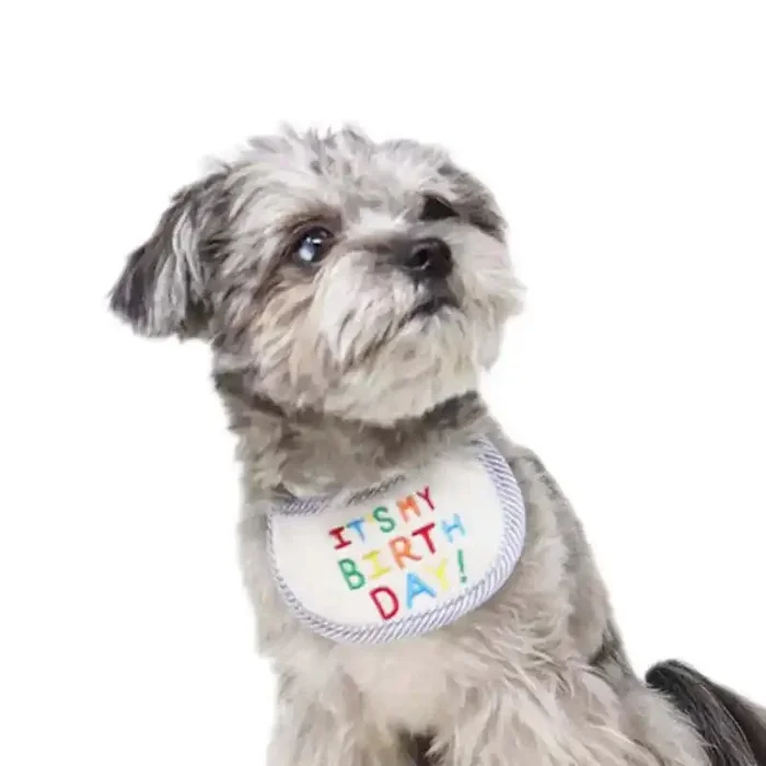 Birthday Bib for Cats / Dogs