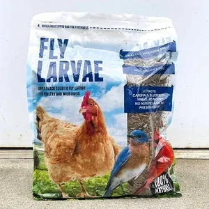 Black Soldier FLy Larvae – 5 lb Bag