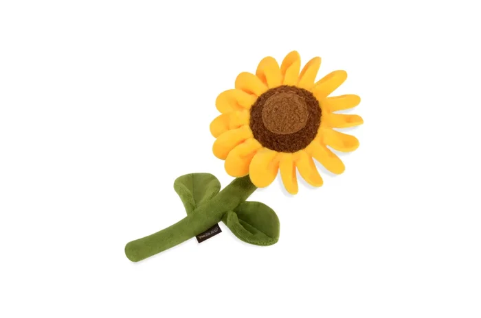 Blooming Buddies – Sassy Sunflower
