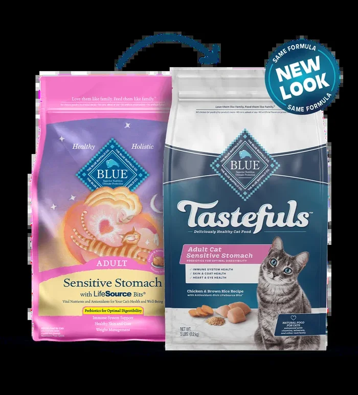 Blue Buffalo Sensitive Stomach – Adult Cat Chicken and Brown Rice Recipe Dry Cat Food