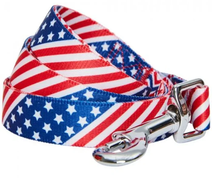 Blueberry Pet – American Flag Dog Leash