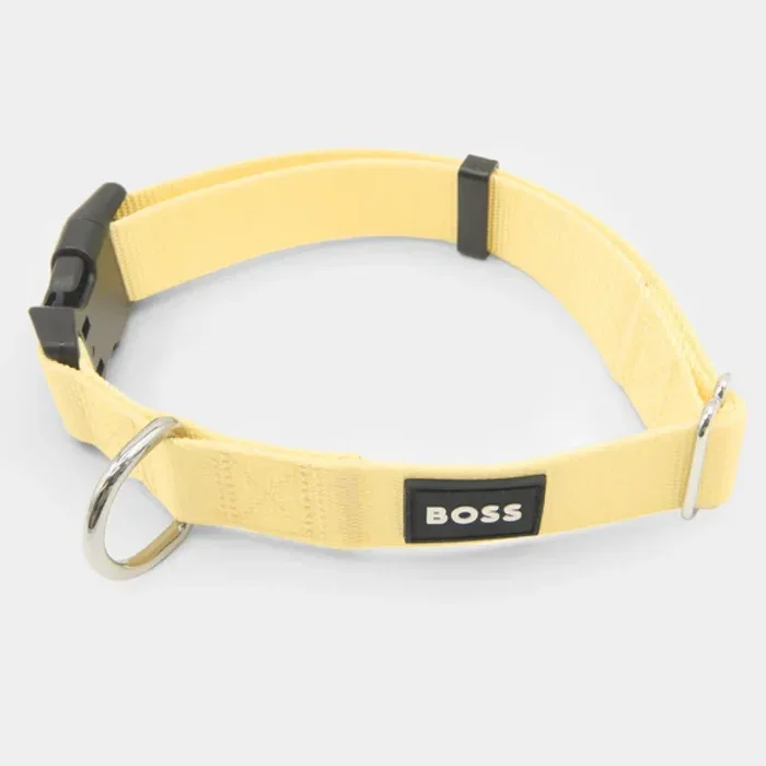 Boss Core Walk Collar for Dogs (Yellow)