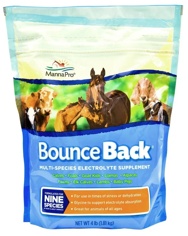 Bounce Back® Multi-Species Electrolyte Supplement