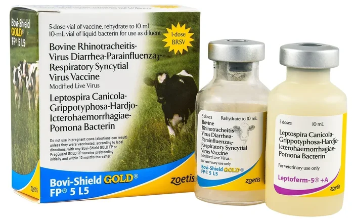 Bovi-Shield Gold FP 5 L5 Cattle Vaccine