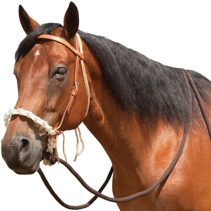 Breaking Hackamore Bridle for Horses