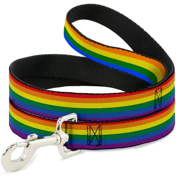 Buckle Down – Lead Nylon Flag Pride Rainbow