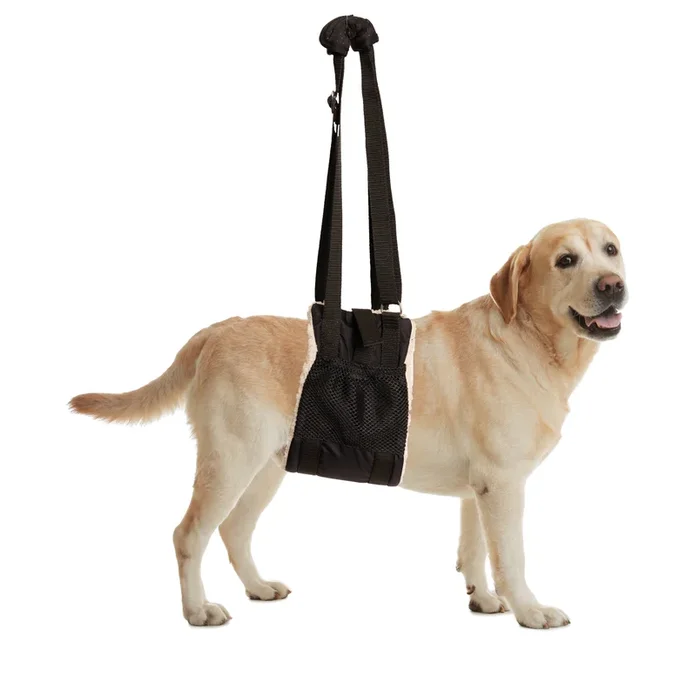 BuddyLift – Canine Support and Rehabilitation Sling: Large/XLarge