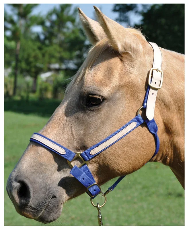 Cabestro de nailon para caballos con revestimiento de cuero Tough1 Breakaway