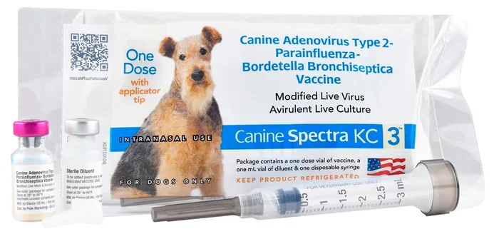 Canine Spectra KC 3 Intranasal Dog Vaccine, Single Dose with Applicator