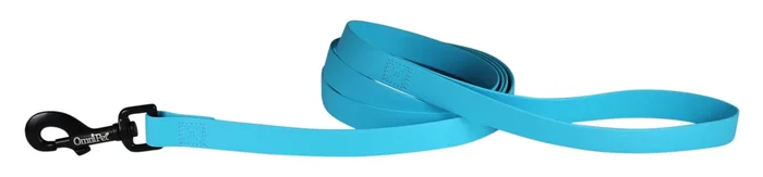 Carnival Dog Leash