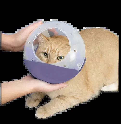 Cat and Flat Face Dog Air Muzzle