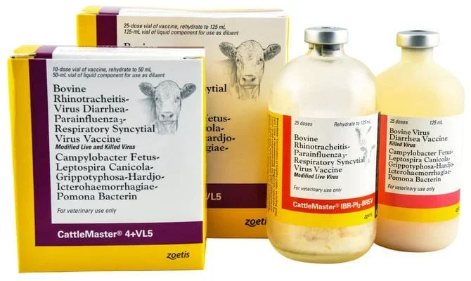 CattleMaster® 4 + VL5 Cattle Vaccine