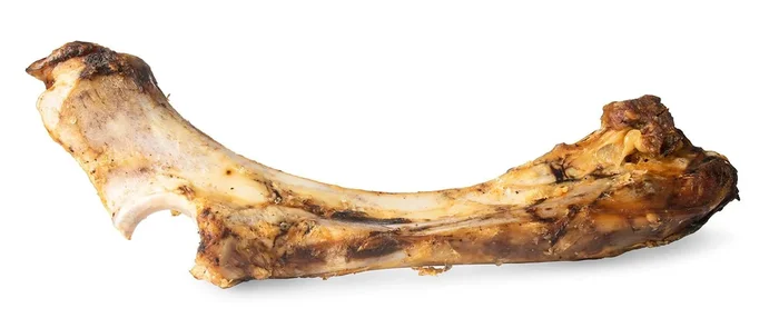 ChewMax Slammer Beef Bone, 14″ L