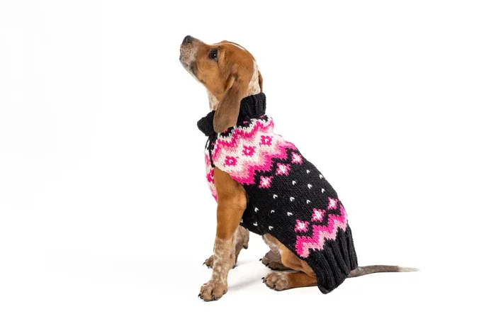 Chilly Dog – Dog Sweater Artic Pink