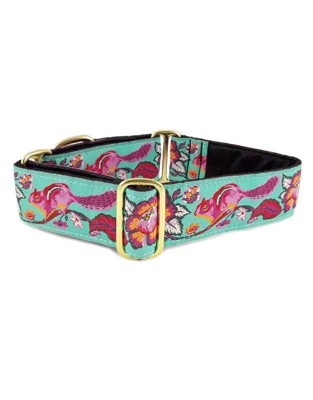 CLASSIC HOUND Buckle Collar Tula Chipmunk