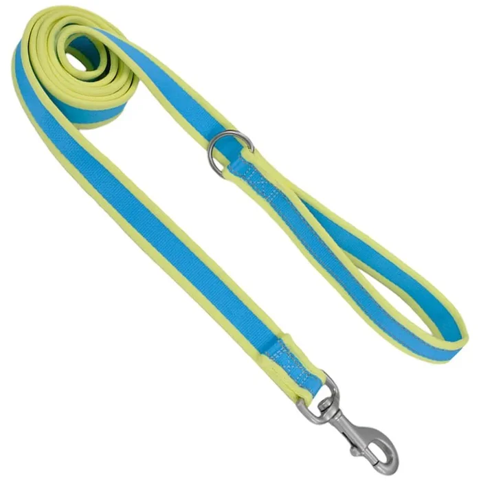 Coastal Pet Attire Pro Nylon Dog Leash, 6′ x 3/4″