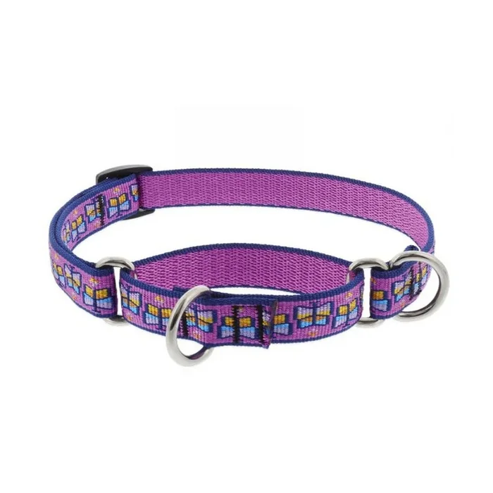 Collar Combo Martingale 3/4″ Wide X 9-14″ Neck Size Flutterby