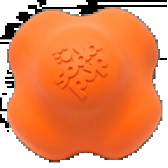 Crazy Bounce Ultra Durable Rubber Chew & Retrieving Toy