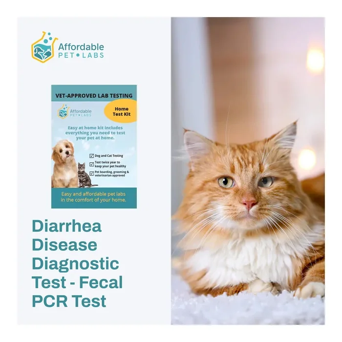 Diarrhea Disease Diagnostic Test – Fecal PCR Test For Cats, Easy Home Kit