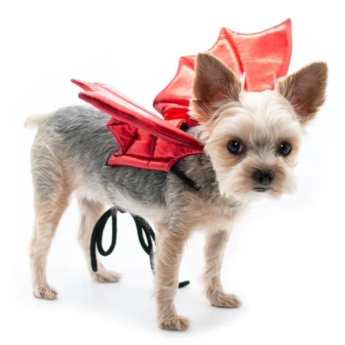 Dogo Pet – Dragon Wings Costume (Red)